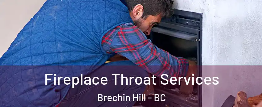 Fireplace Throat Services Brechin Hill - BC