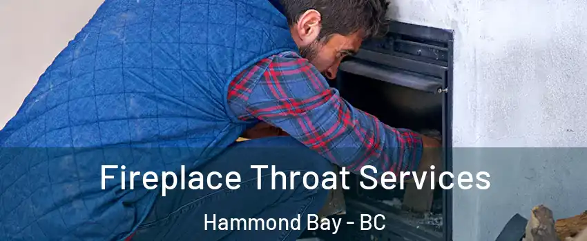  Fireplace Throat Services Hammond Bay - BC
