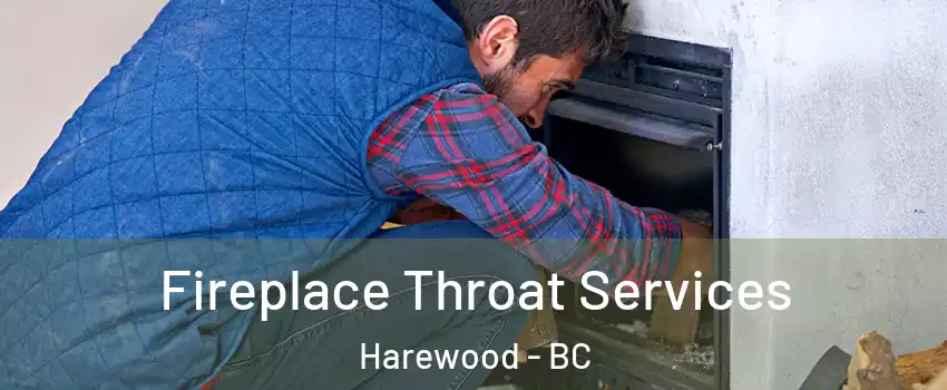 Fireplace Throat Services Harewood - BC