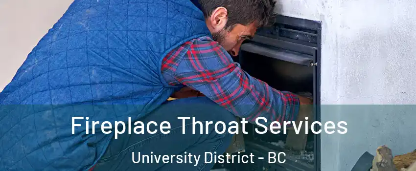  Fireplace Throat Services University District - BC