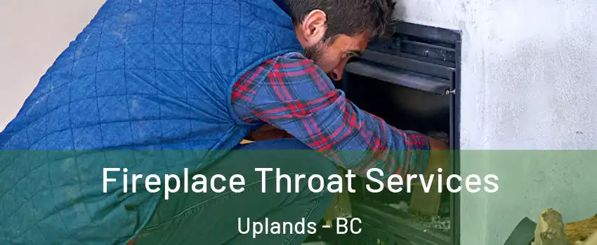  Fireplace Throat Services Uplands - BC