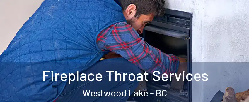  Fireplace Throat Services Westwood Lake - BC