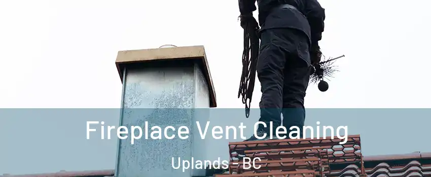  Fireplace Vent Cleaning Uplands - BC