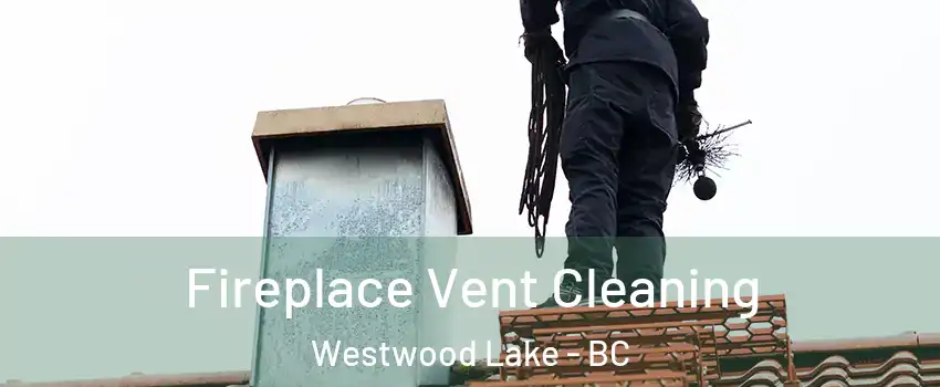  Fireplace Vent Cleaning Westwood Lake - BC