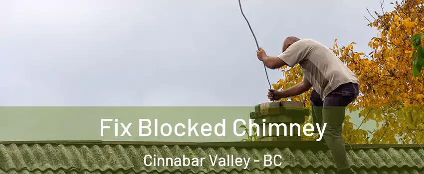  Fix Blocked Chimney Cinnabar Valley - BC