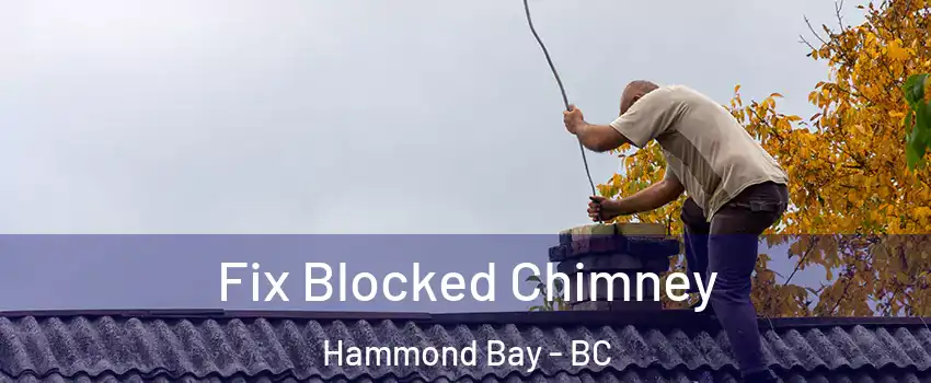  Fix Blocked Chimney Hammond Bay - BC