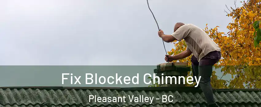  Fix Blocked Chimney Pleasant Valley - BC