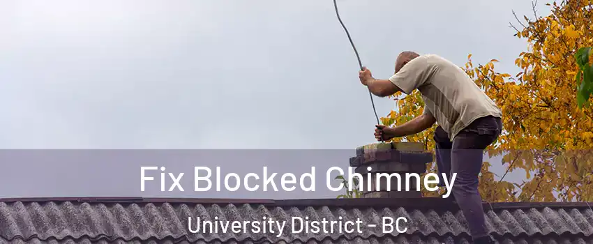  Fix Blocked Chimney University District - BC