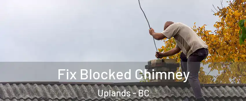  Fix Blocked Chimney Uplands - BC