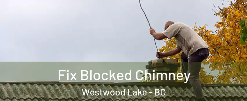  Fix Blocked Chimney Westwood Lake - BC
