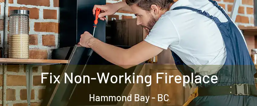  Fix Non-Working Fireplace Hammond Bay - BC