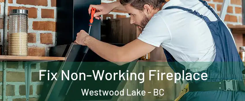  Fix Non-Working Fireplace Westwood Lake - BC