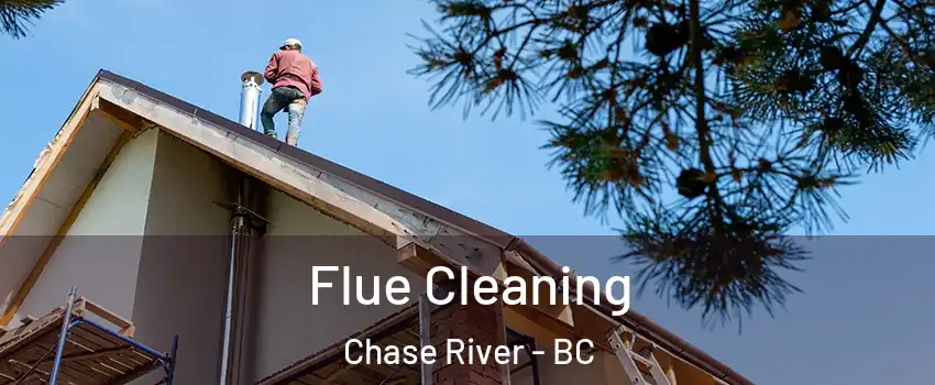  Flue Cleaning Chase River - BC