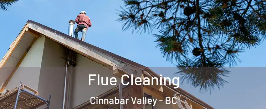  Flue Cleaning Cinnabar Valley - BC