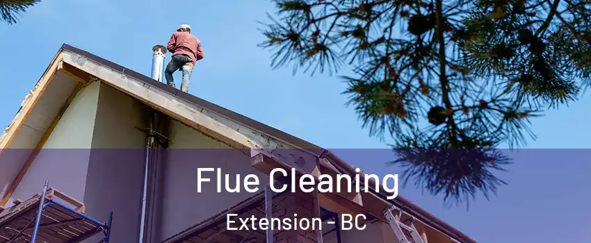  Flue Cleaning Extension - BC
