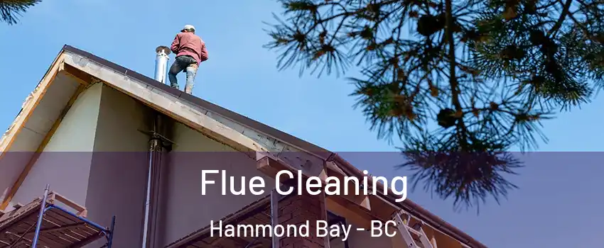  Flue Cleaning Hammond Bay - BC
