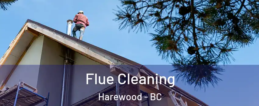  Flue Cleaning Harewood - BC