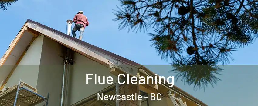  Flue Cleaning Newcastle - BC