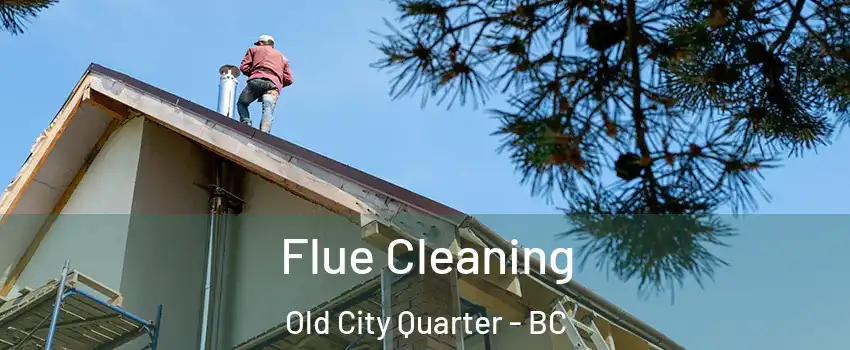  Flue Cleaning Old City Quarter - BC