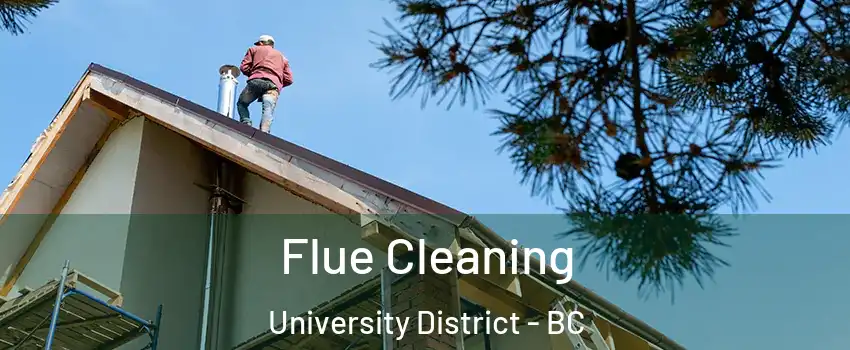  Flue Cleaning University District - BC