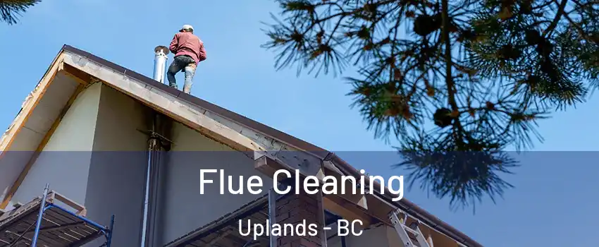  Flue Cleaning Uplands - BC