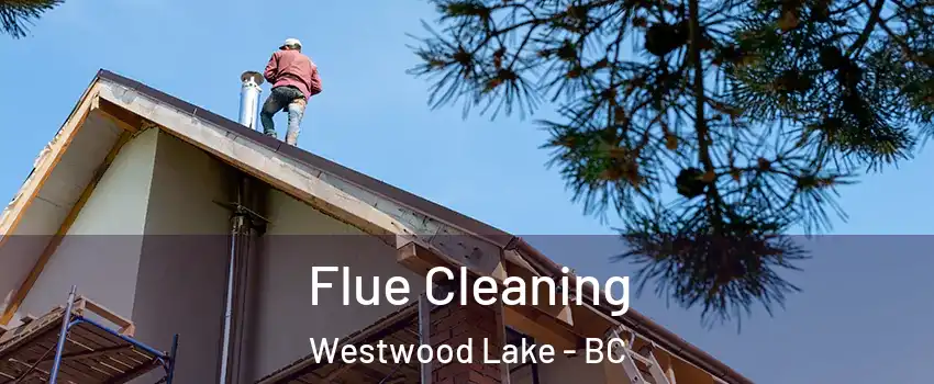  Flue Cleaning Westwood Lake - BC