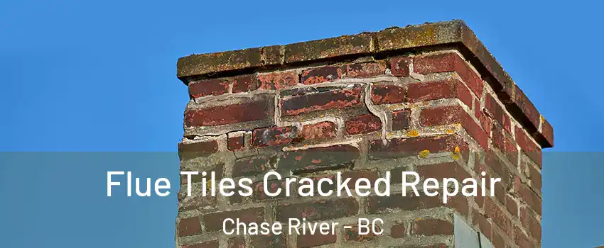  Flue Tiles Cracked Repair Chase River - BC