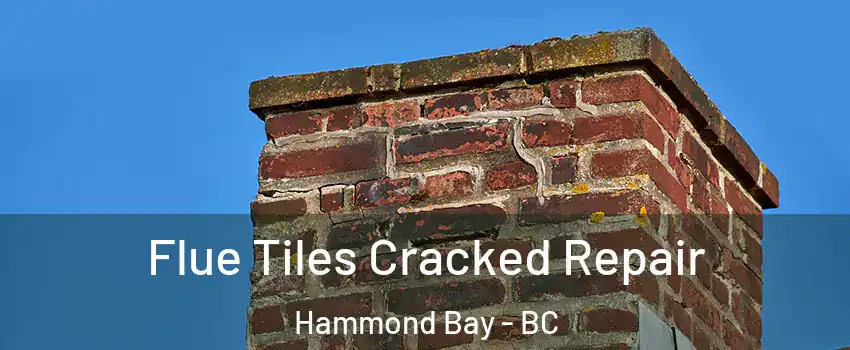  Flue Tiles Cracked Repair Hammond Bay - BC