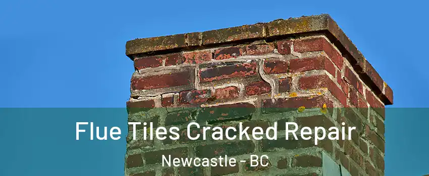  Flue Tiles Cracked Repair Newcastle - BC