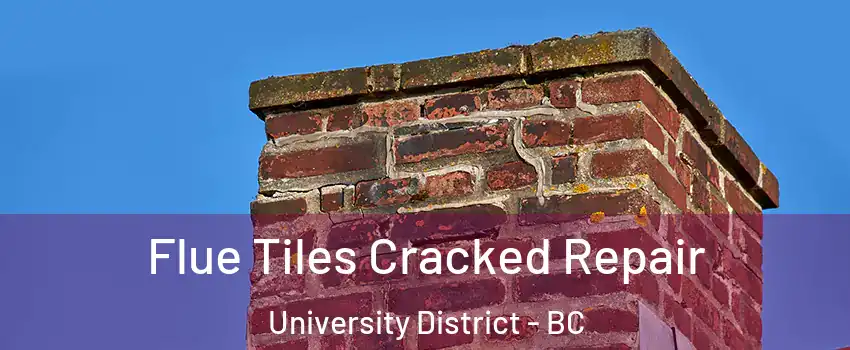  Flue Tiles Cracked Repair University District - BC