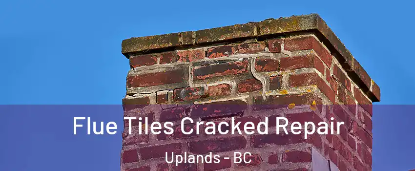  Flue Tiles Cracked Repair Uplands - BC