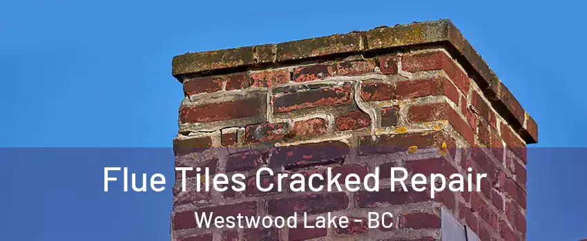  Flue Tiles Cracked Repair Westwood Lake - BC