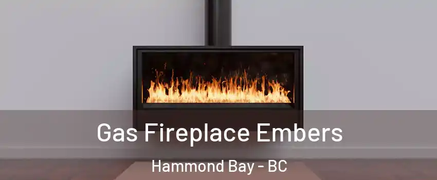 Gas Fireplace Embers Hammond Bay - BC