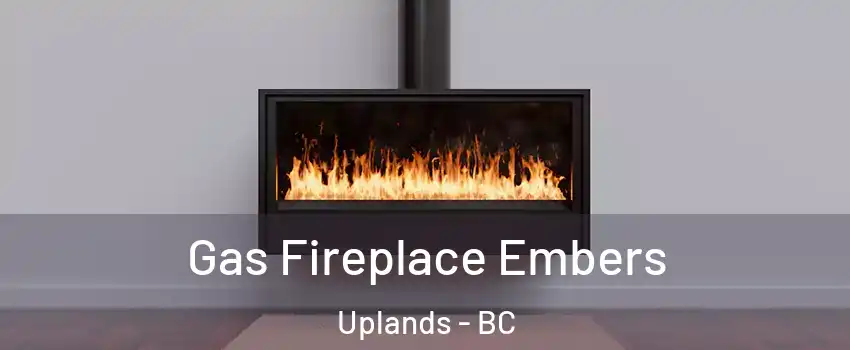  Gas Fireplace Embers Uplands - BC