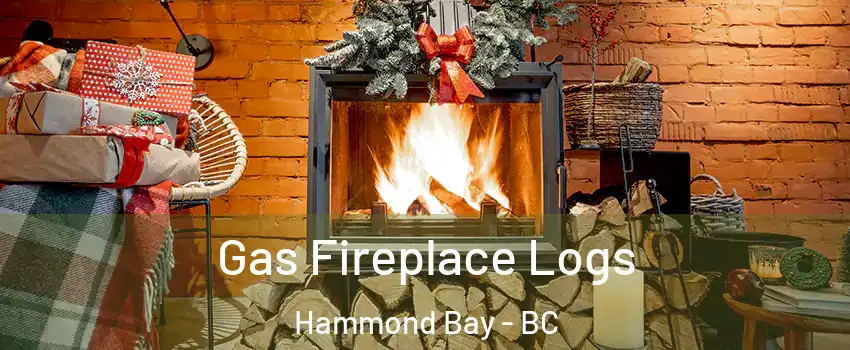  Gas Fireplace Logs Hammond Bay - BC