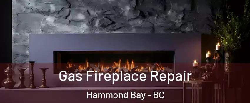  Gas Fireplace Repair Hammond Bay - BC