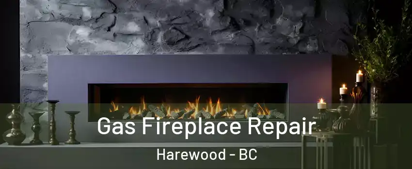  Gas Fireplace Repair Harewood - BC