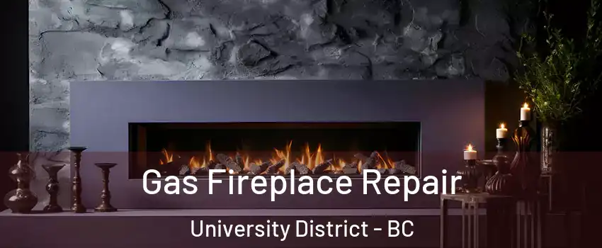  Gas Fireplace Repair University District - BC