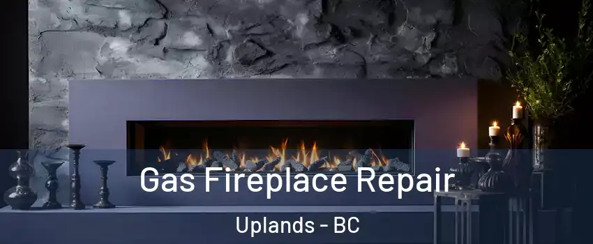  Gas Fireplace Repair Uplands - BC