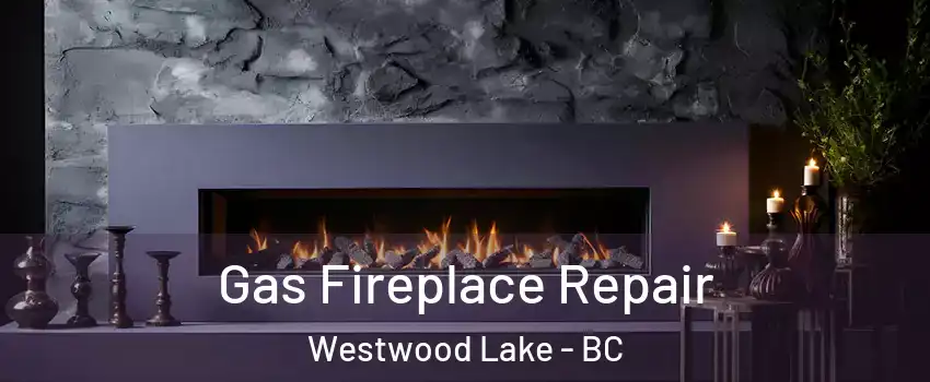  Gas Fireplace Repair Westwood Lake - BC