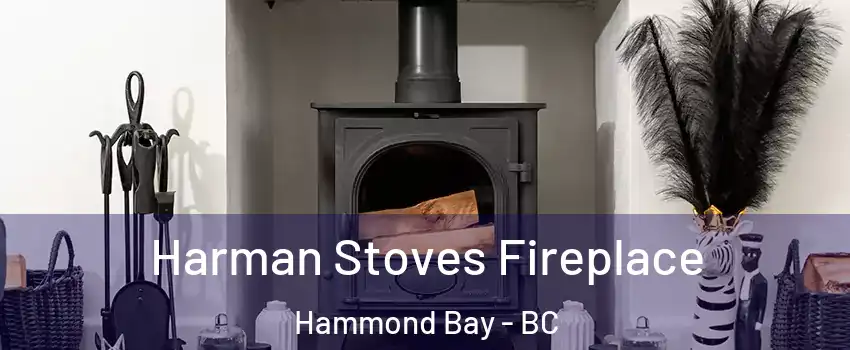  Harman Stoves Fireplace Hammond Bay - BC