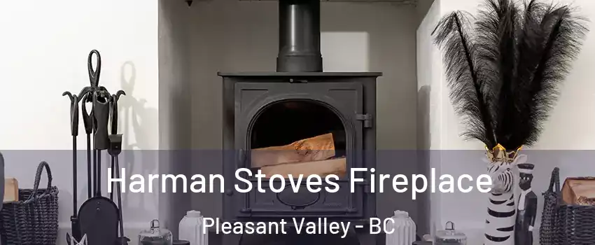  Harman Stoves Fireplace Pleasant Valley - BC