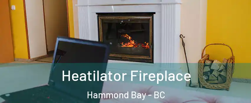 Heatilator Fireplace Hammond Bay - BC