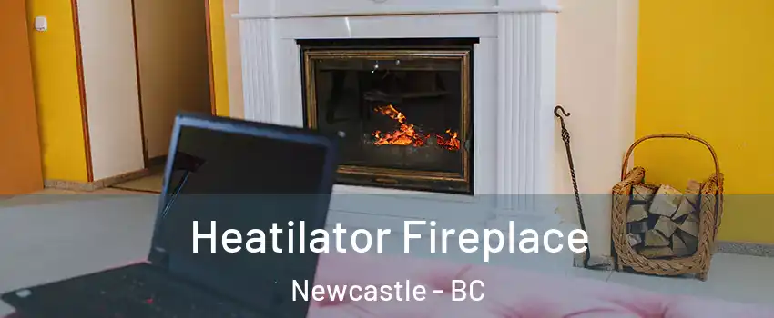  Heatilator Fireplace Newcastle - BC