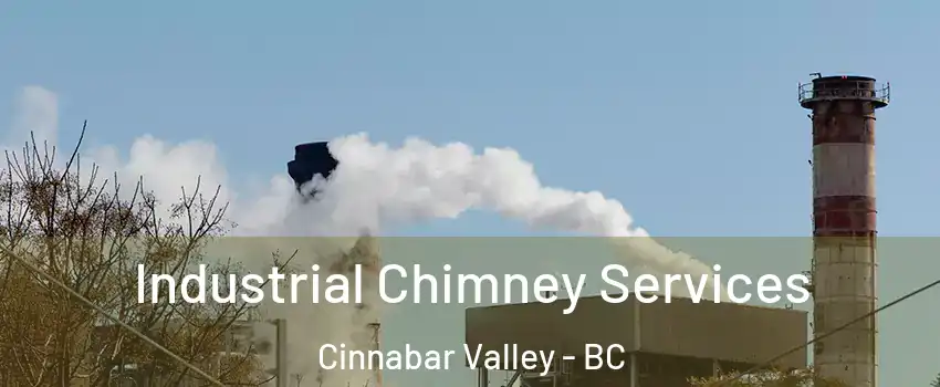  Industrial Chimney Services Cinnabar Valley - BC
