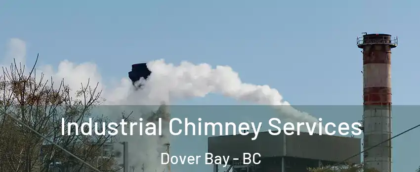  Industrial Chimney Services Dover Bay - BC