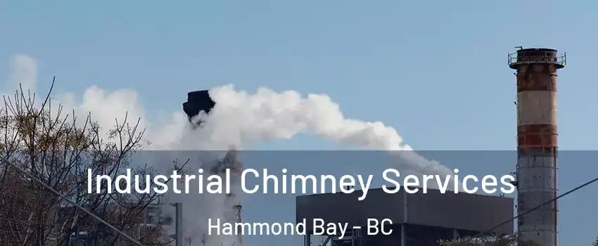  Industrial Chimney Services Hammond Bay - BC