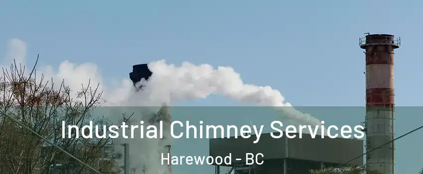  Industrial Chimney Services Harewood - BC