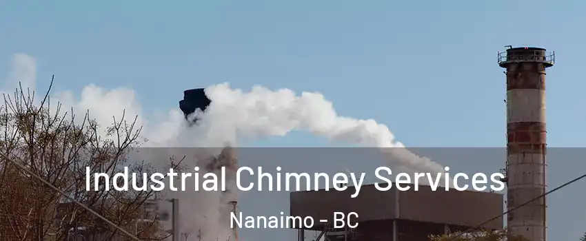  Industrial Chimney Services Nanaimo - BC