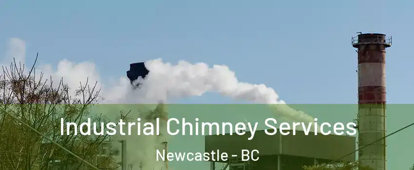  Industrial Chimney Services Newcastle - BC